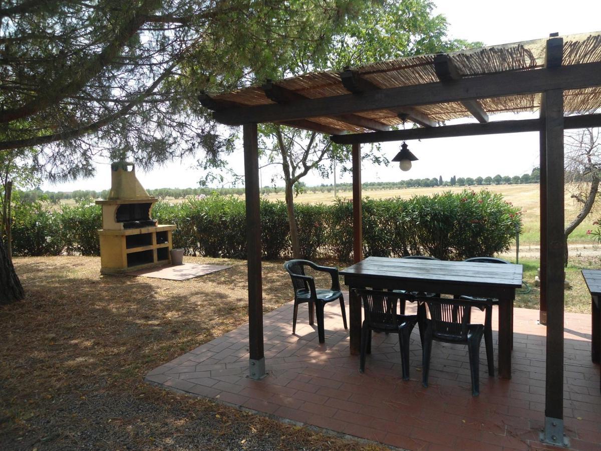 Agriturismo Le Pescine Vada Exterior photo